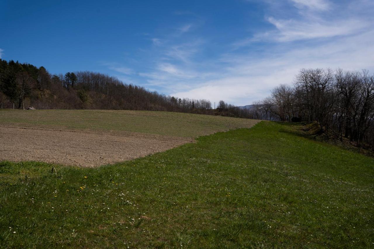 028 - Agriturismo "Il Boschetto" Con Piscina, Pace E Natura - Camera Familiare Cavizzano Eksteriør billede