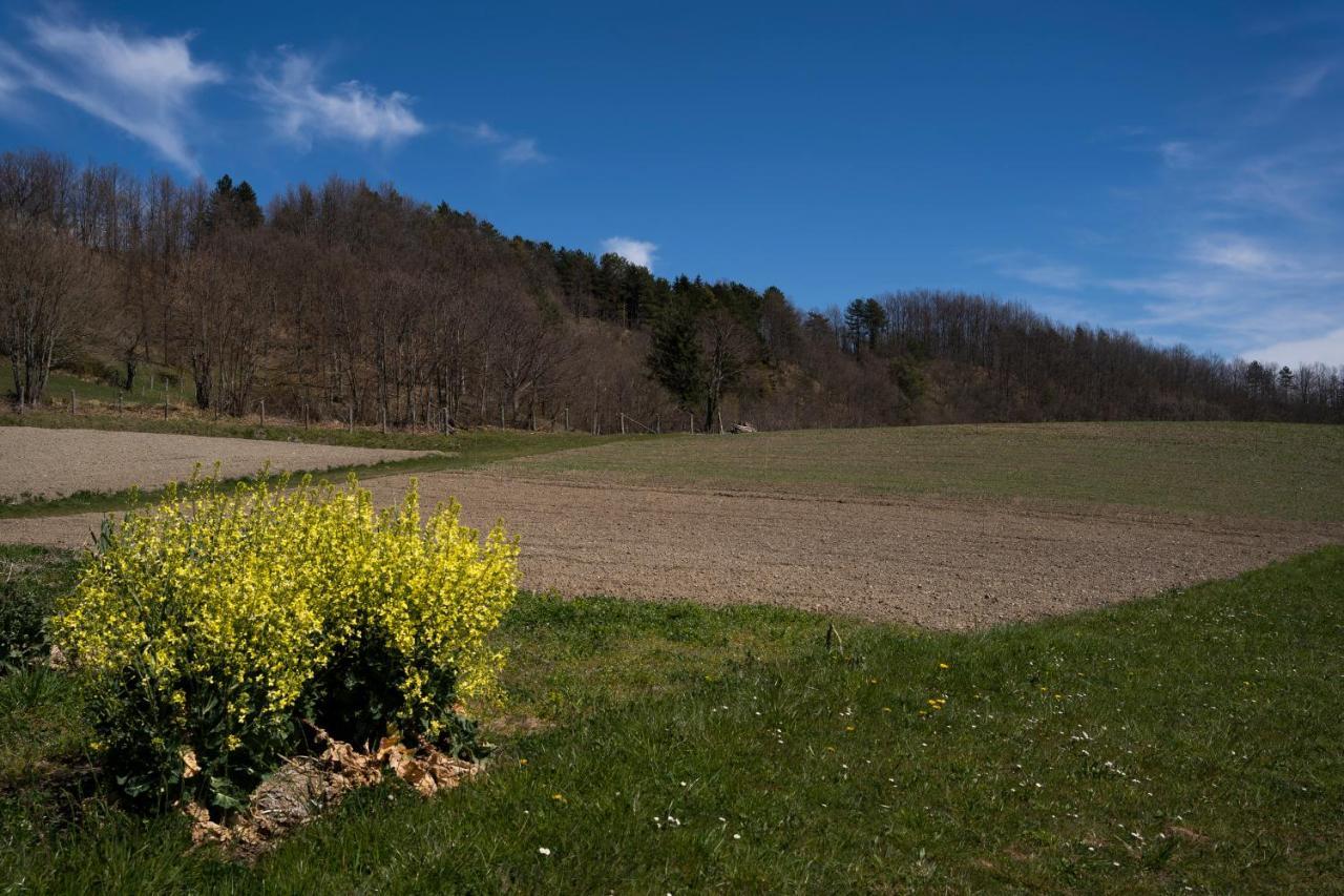 028 - Agriturismo "Il Boschetto" Con Piscina, Pace E Natura - Camera Familiare Cavizzano Eksteriør billede