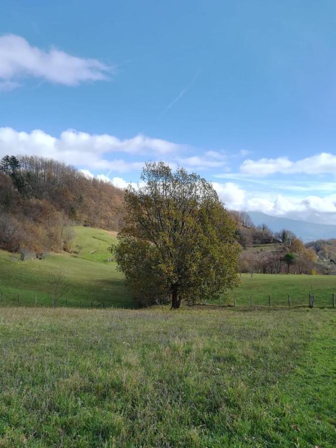 028 - Agriturismo "Il Boschetto" Con Piscina, Pace E Natura - Camera Familiare Cavizzano Eksteriør billede