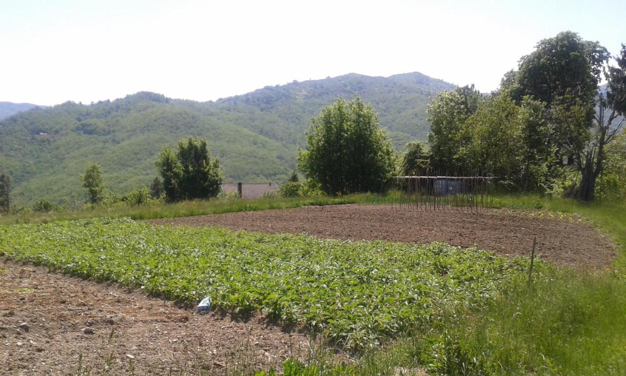 028 - Agriturismo "Il Boschetto" Con Piscina, Pace E Natura - Camera Familiare Cavizzano Eksteriør billede