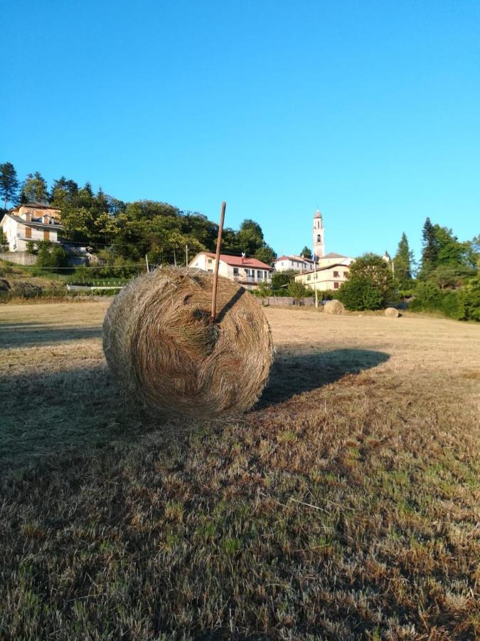 028 - Agriturismo "Il Boschetto" Con Piscina, Pace E Natura - Camera Familiare Cavizzano Eksteriør billede